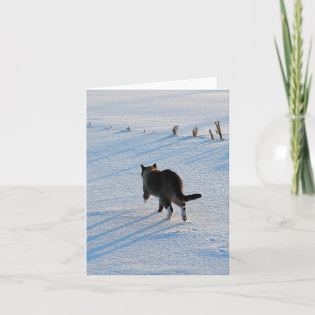Kitty Walking in Snowy Corn Field All Ocassions Card (Front)