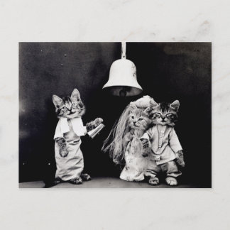 Kitty Wedding Postcard
