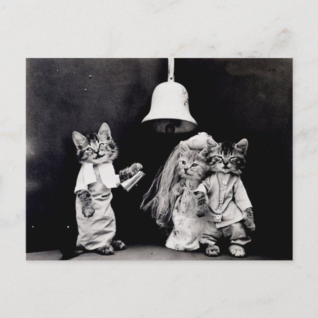 Kitty Wedding Postcard (Front)
