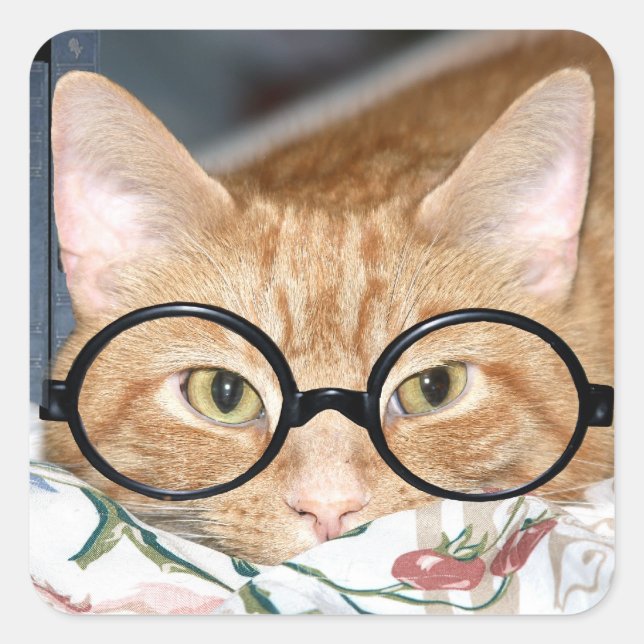Kitty with glasses square sticker (Front)