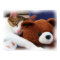 Kitty with Teddy Bear Print