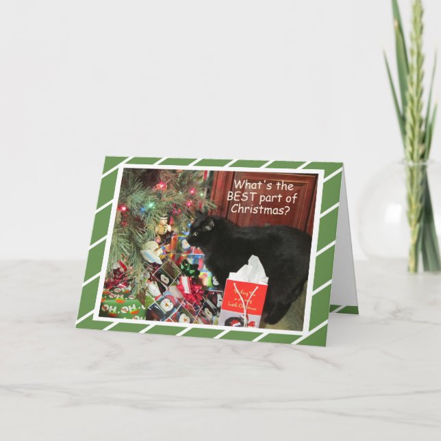 Kitty's Favourite Things Christmas Card (Front)