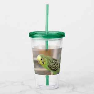 Kiwi Acrylic Tumbler