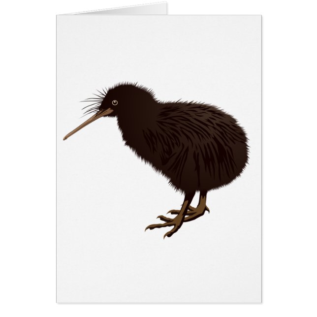 Kiwi Bird (Front)