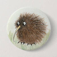 Kiwi Bird
