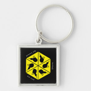 Kiwi Bird & New Zealand/ Aotearoa Islands (pizza) Key Ring