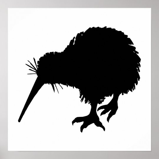 Kiwi Bird Silhouette Poster | Zazzle.co.nz