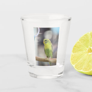 Kiwi Burbell Shot Glass