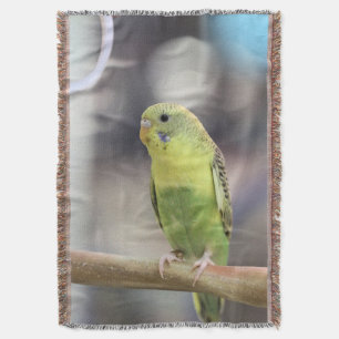 Kiwi Burbell Throw Blanket