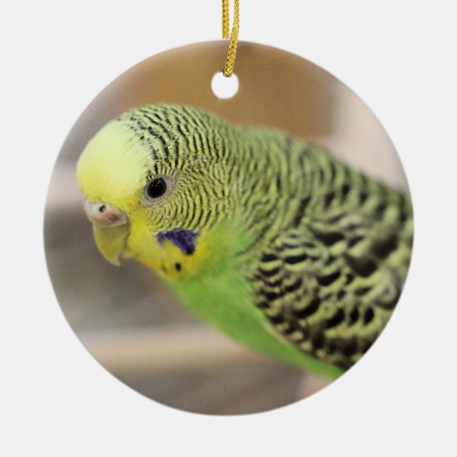 Kiwi Ceramic Tree Decoration (Front)
