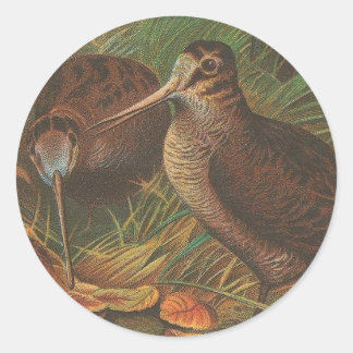 Kiwi Classic Round Sticker