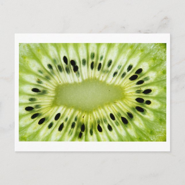 Kiwi Close-up Photo Postcard (Front)