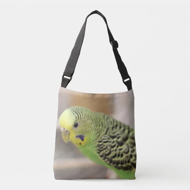 Kiwi Crossbody Bag (Front)