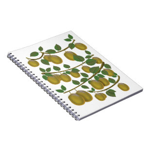 Kiwi Fruit Notebook