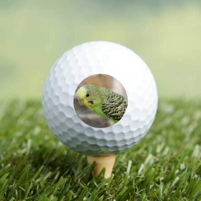 Kiwi  golf balls (Insitu Tee)