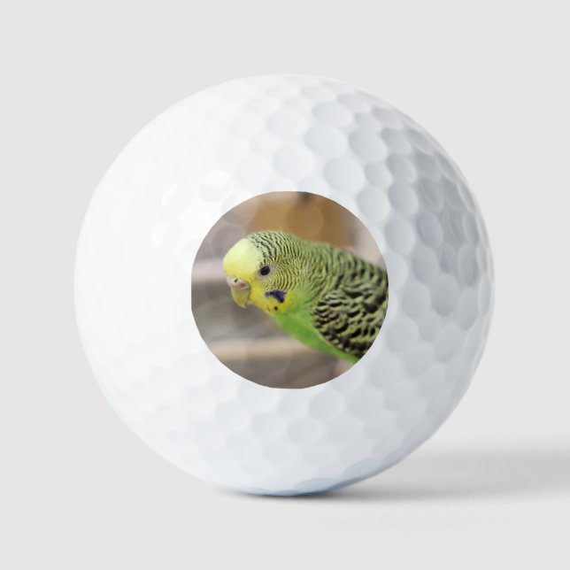 Kiwi Golf Balls (Front)
