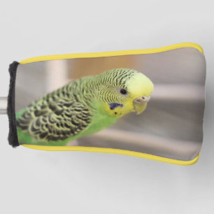 Kiwi  golf head cover