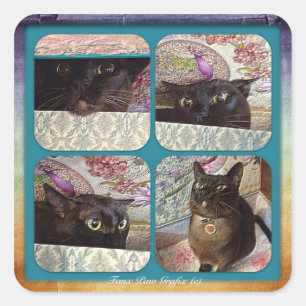 Kiwi in a Box, series 1, four images Square Sticker