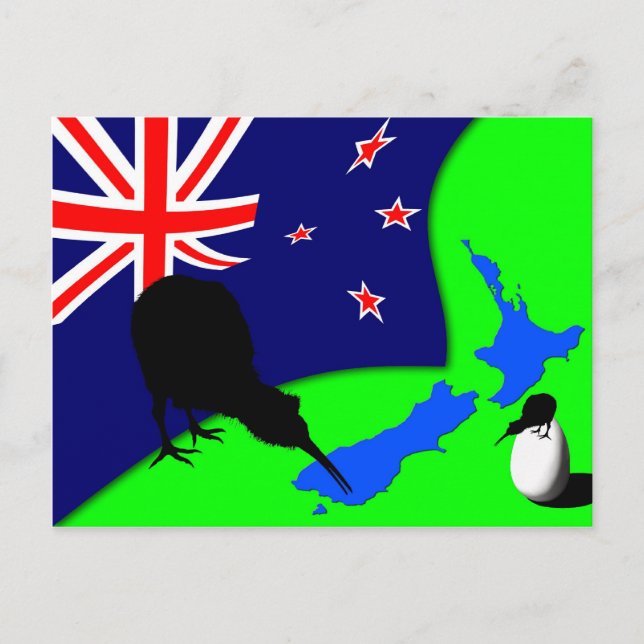 Kiwi Land, Kiwi Bird & Egg / New Zealand Postcard (Front)