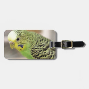 Kiwi Luggage Tag