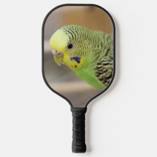 Kiwi Pickleball Paddle