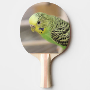 Kiwi Ping Pong Paddle
