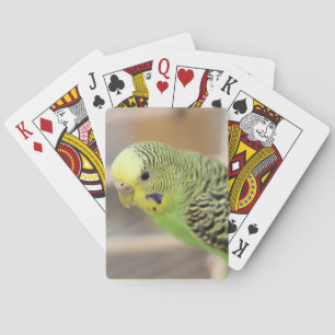Kiwi Playing Cards