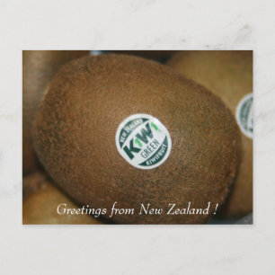 kiwi postcard