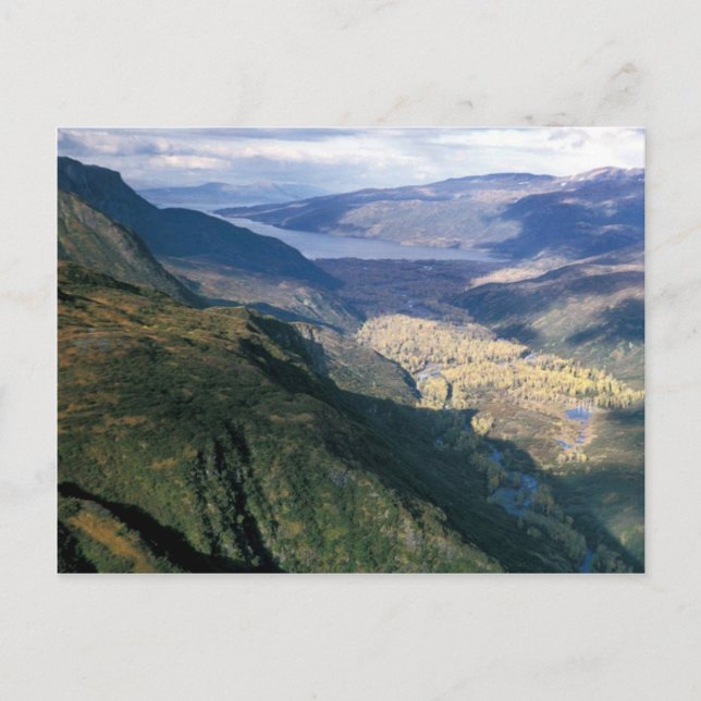 Kizhuyak Bay, Kodiak Postcard (Front)