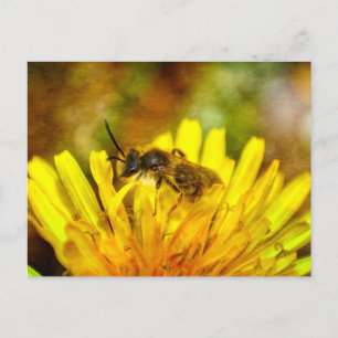 Kleine Biene Postcard