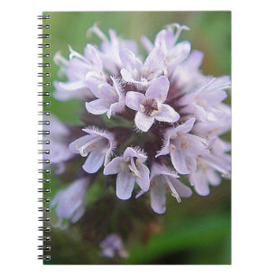 Kleine lila Blüten Notebook