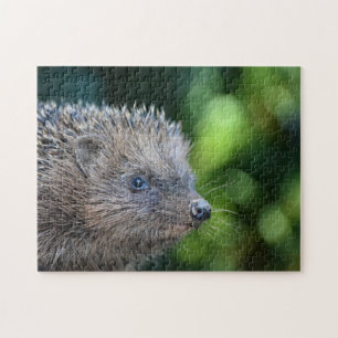 Kleiner Igel Jigsaw Puzzle