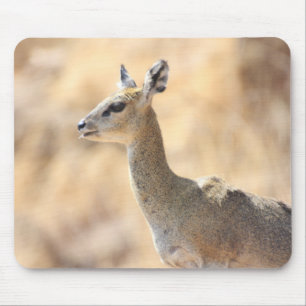 Klipspringer antelope mouse pad