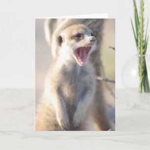 KMP Card 18 - Yawning Nugget