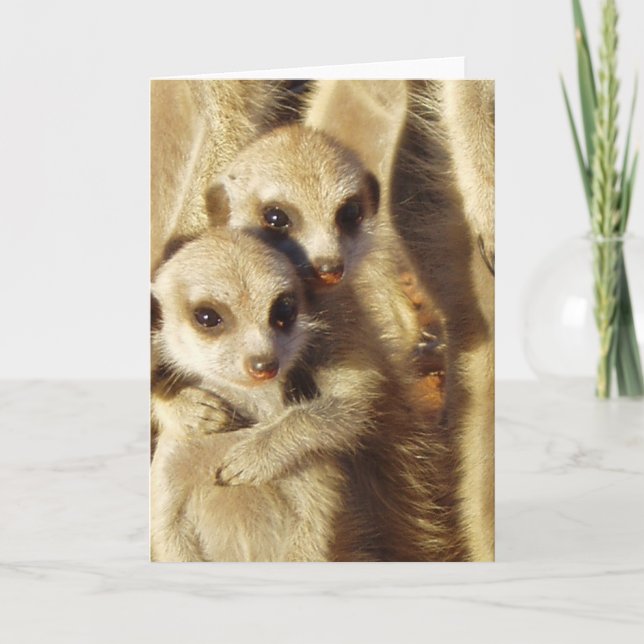 KMP Card 1 - Frisky Pups (Front)