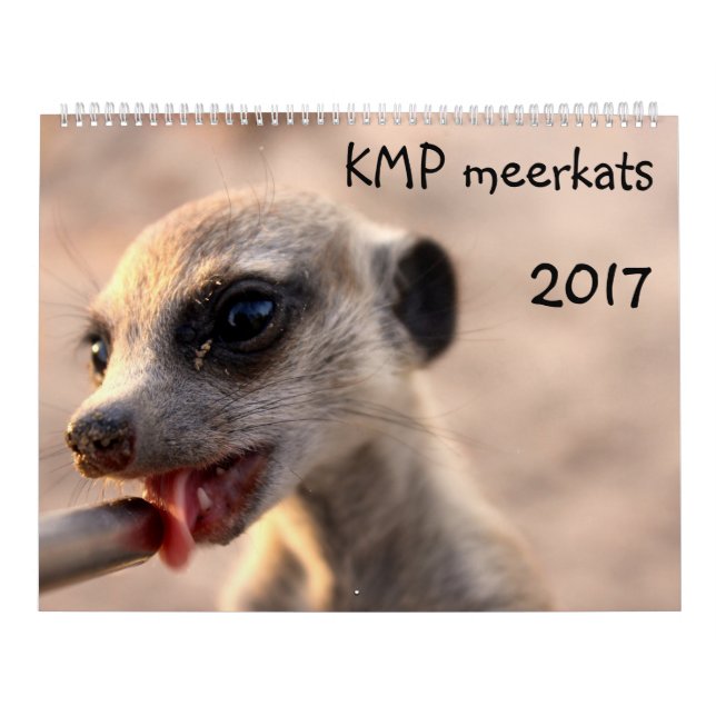 KMP Meerkats - 2017 Calendar (Cover)