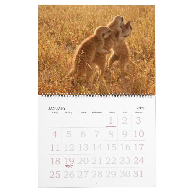 KMP Meerkats - Calendar 2009 (Jan 2026)