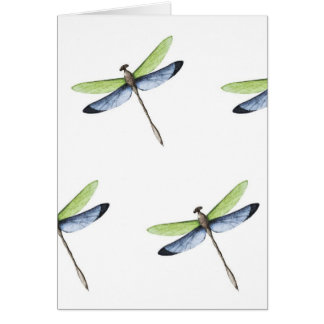 KN Dragonfly Card