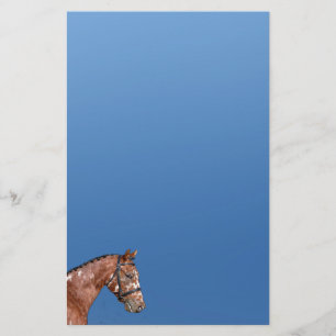 Knabstrupper Stallion Stationery Paper Blue