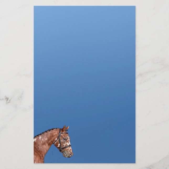 Knabstrupper  Stallion Stationery Paper Blue (Front)
