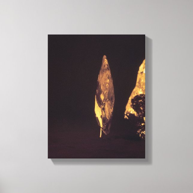 Knapped axe or spear head canvas print (Front)