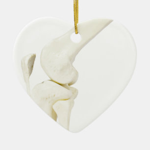 Knee joint model of human leg ceramic tree decoration