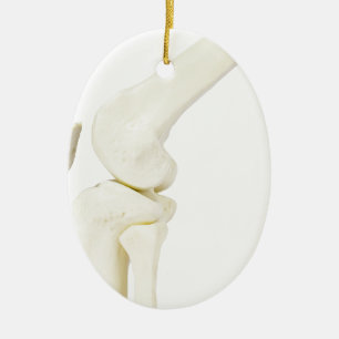 Knee joint model of human leg ceramic tree decoration