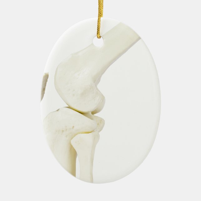 Knee joint model of human leg ceramic tree decoration (Front)