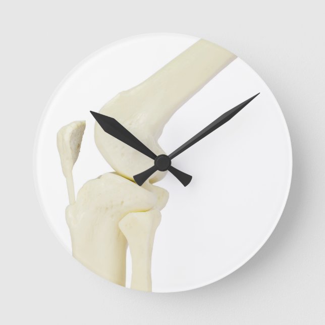 Knee joint model of human leg round clock (Front)