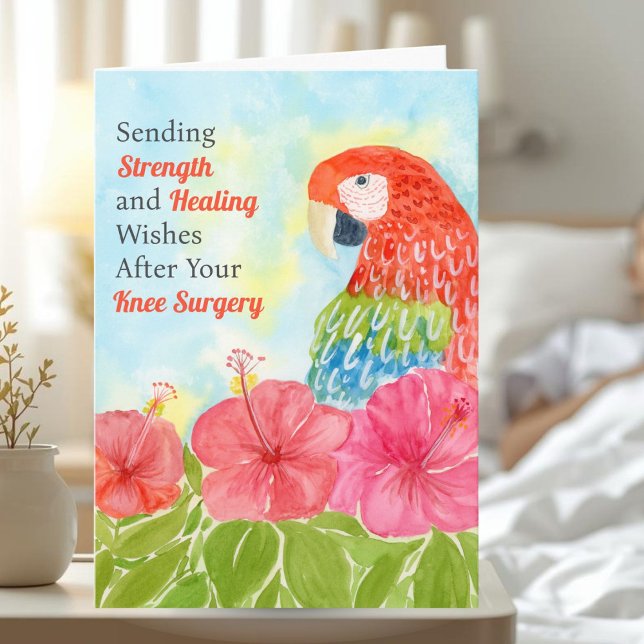 Knee Surgery Healing with Scarlet Macaws, Hibiscus Card (Creator Uploaded)