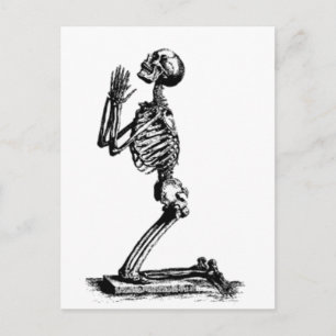 Kneeling Skeleton Postcard