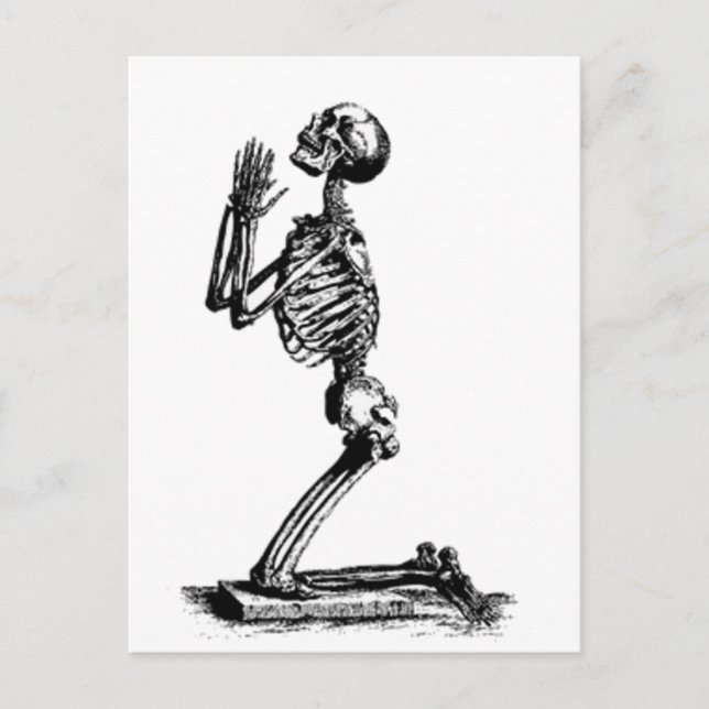 Kneeling Skeleton Postcard (Front)