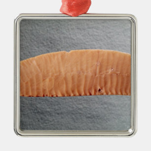 Knife blade metal tree decoration