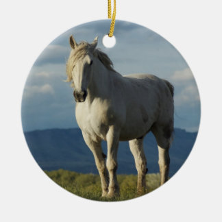 Knight of Dreams Ceramic Tree Decoration